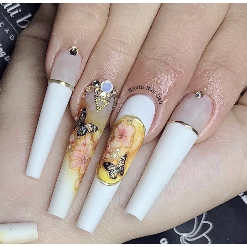 Hộp móng típ phom dài đắp gel bột hàng chuẩn đủ phom