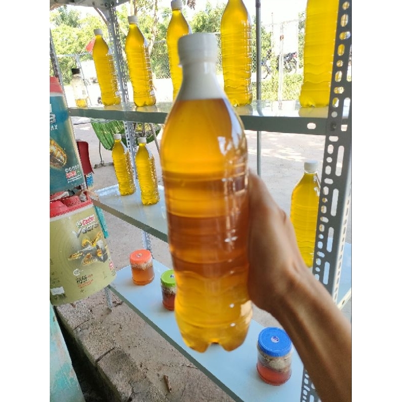 1 Lít Mật Ong Hoa Rừng Nguyên Chất 100% Giá Sỉ