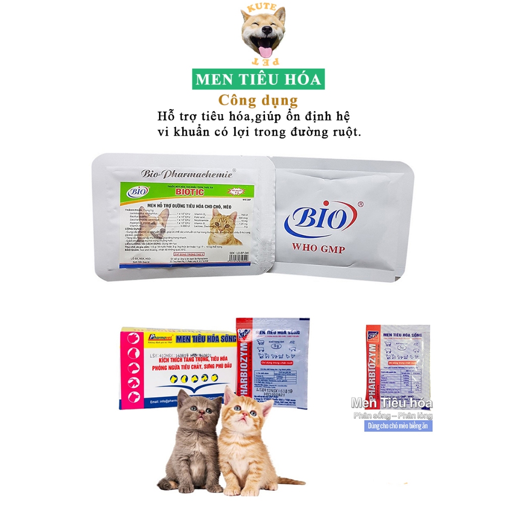 Men tiêu hóa cho chó mèo