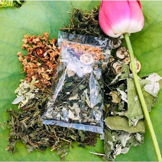 Trà lá nam 10 vị giảm cân, thanh lọc cơ thể