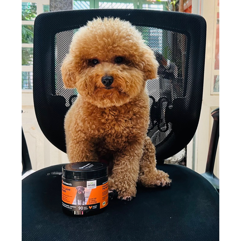 10 viên - Hip & Joint - PetHonesty - Viên nhai mềm