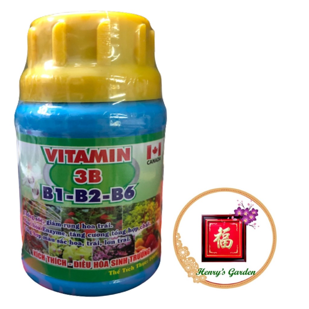 Phân Bón Vitamin 3B (B1-B2-B6) Canada - #626A# 100ml