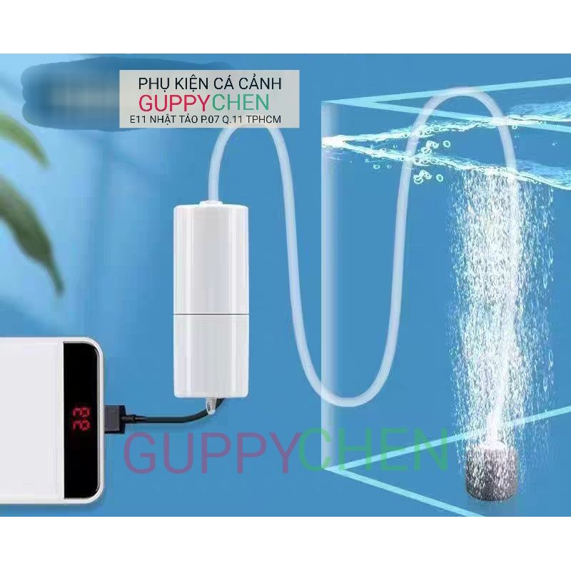 Máy Sủi Oxi USB Mini Cho Hồ Cá