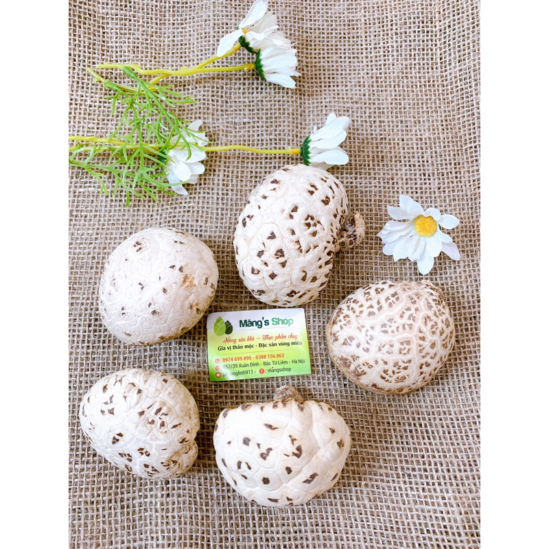 Nấm đông cô Nhật Bản loại 1: To - Thơm - Dày thịt gói 1kg