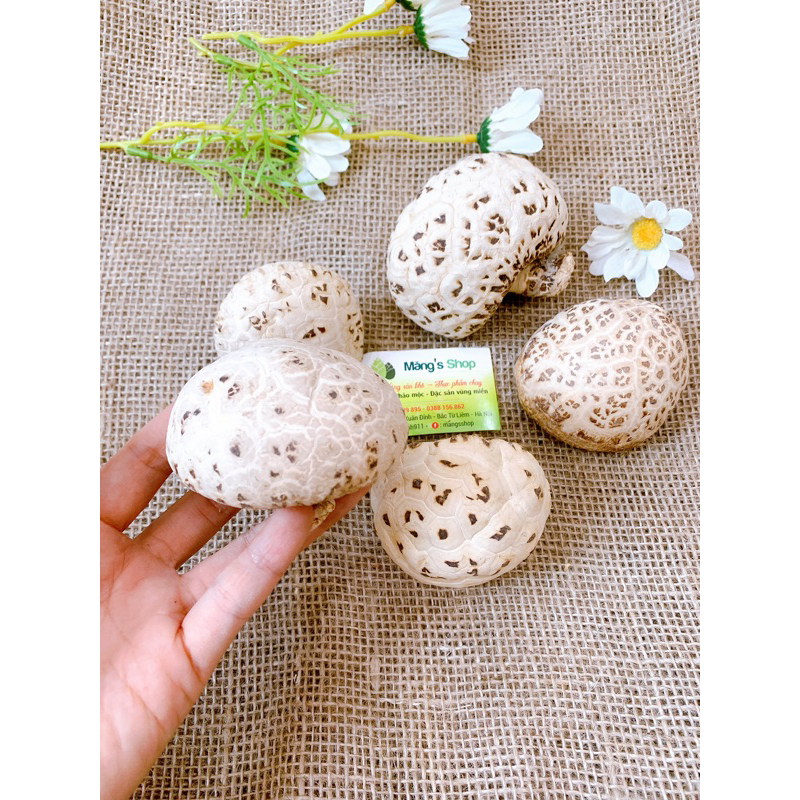 Nấm đông cô Nhật Bản loại 1: To - Thơm - Dày thịt gói 1kg