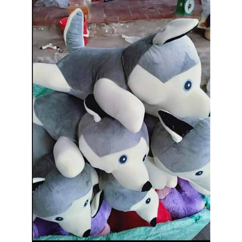 Gấu Chó Husky Mềm Mại Dễ Thương Size 30 Làm Quà Tặng Trang Trí Gấu Ôm - Gấu Bông Đồng Giá