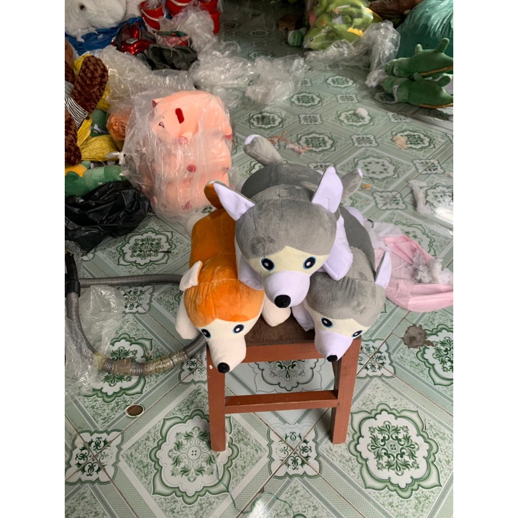 Gấu Chó Husky Mềm Mại Dễ Thương Size 30 Làm Quà Tặng Trang Trí Gấu Ôm - Gấu Bông Đồng Giá