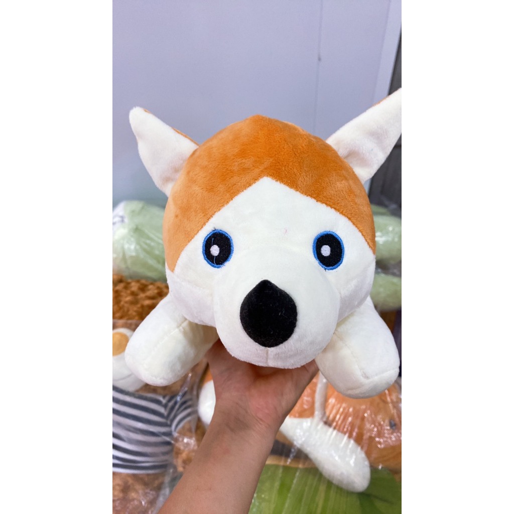 Gấu Chó Husky Mềm Mại Dễ Thương Size 30 Làm Quà Tặng Trang Trí Gấu Ôm - Gấu Bông Đồng Giá