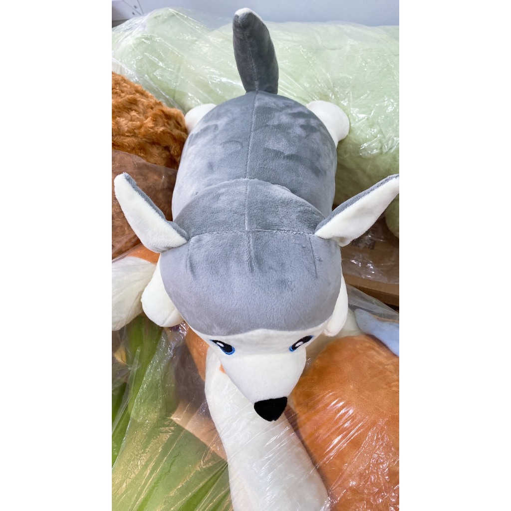 Gấu Chó Husky Mềm Mại Dễ Thương Size 30 Làm Quà Tặng Trang Trí Gấu Ôm - Gấu Bông Đồng Giá