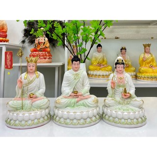 Tam thánh ta bà 30cm