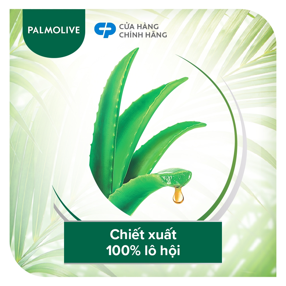 Bộ 6 Dầu gội Palmolive kèm dầu xả chiết xuất thiên nhiên 600ml x6