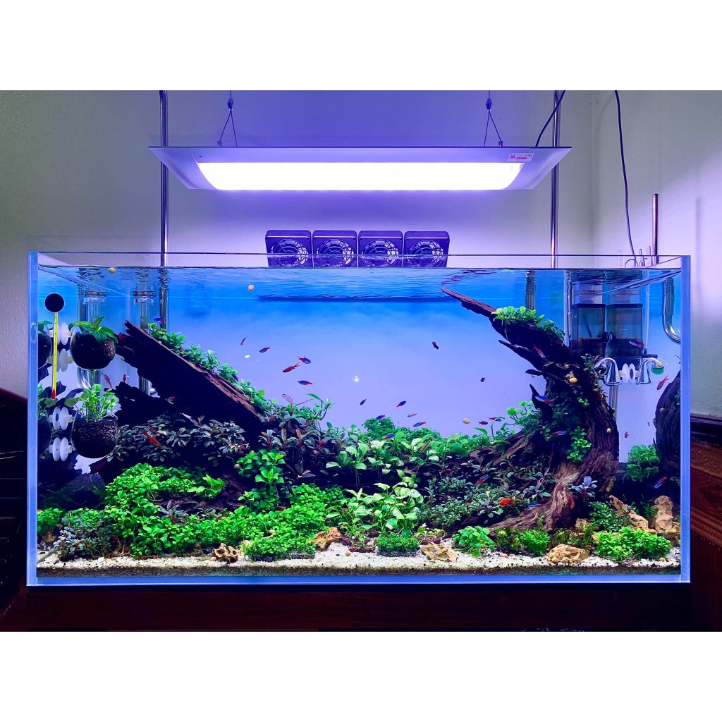 Tranh Decal Dán Bể Cá, Bể Thủy Sinh Màu Bầu Trời Phong Cách Open Sky | Decal Blue Sky Dán Bể Cá Nhiề