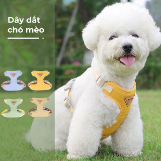 Dây dắt chó mèo đi dạo, dây dắt thú cưng 14kg bechon