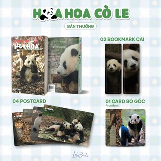 Sách Gấu trúc Hoa Hoa - AMAK
