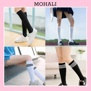 Vớ tất cổ cao nữ mang tới gối tất cotton gối cho nữ đủ loại mỏng dày cotton chuẩn style Hàn Quốc MOHALI VC013