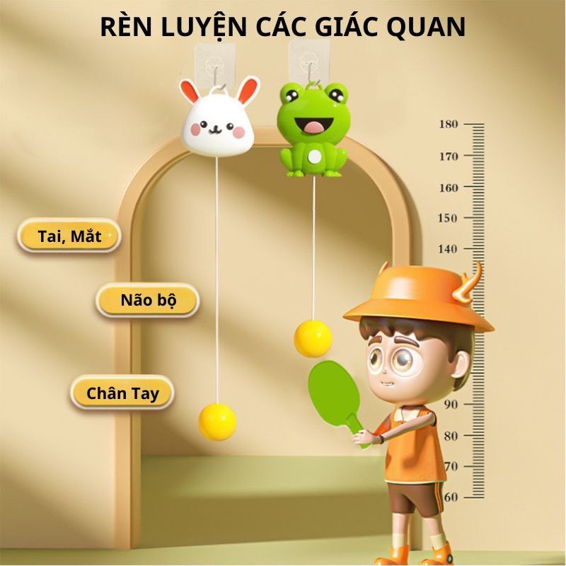 Bộ đồ chơi bóng bàn treo tường, tập luyện thể chất trong nhà hoặc công viên cho bé