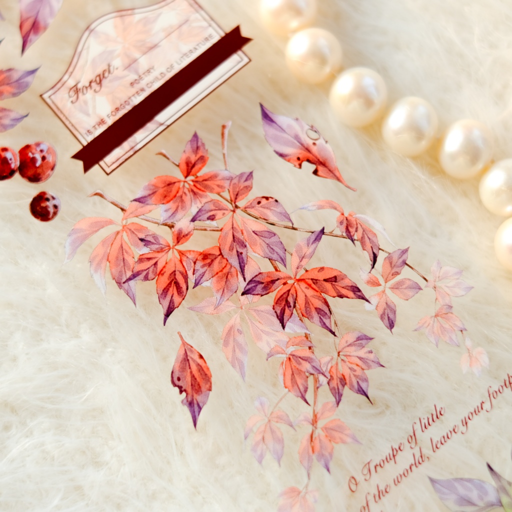 Meohime 𓃠 Hãng BCJ - Băng dán PET tape lá mùa thu