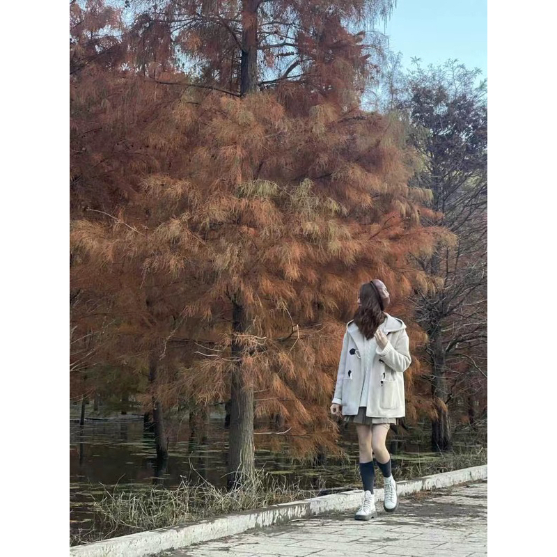 Áo khoác Dạ ép có mũ khuy sừng màu S/M/L/XL phong cách Hàn Quốc