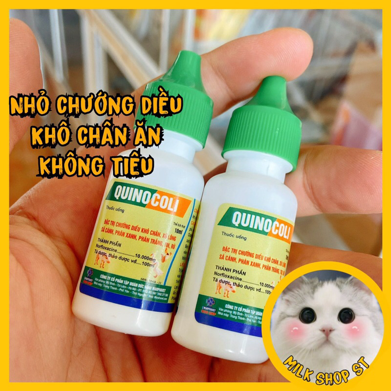 Quinocoli lọ 10ml Nhỏ gà chướng diều, khô chân 1 lọ