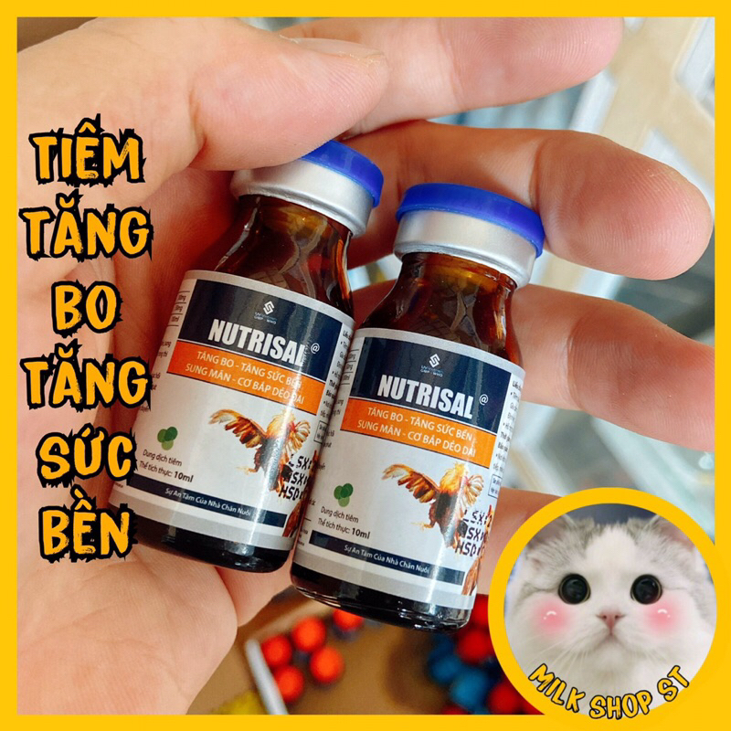 Nutrisal gà đá tăng bo, tăng sức bền 1 lọ