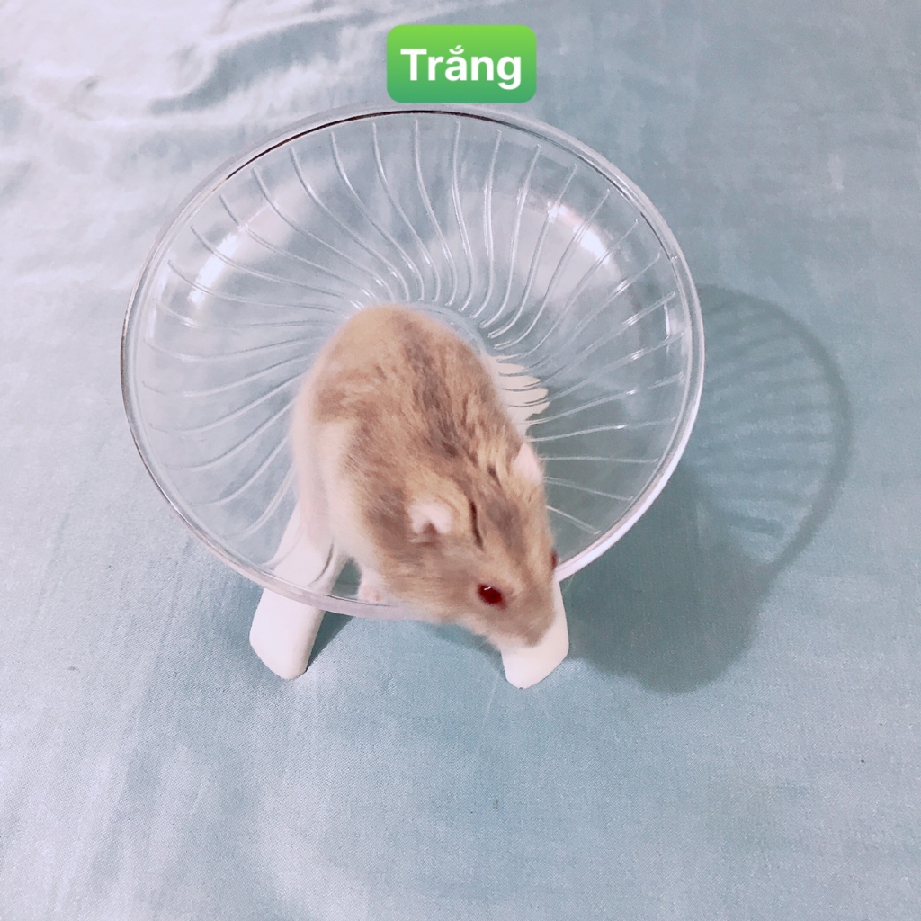 Đồ chơi cho hamster, đĩa chạy cho hamster tập thể dục