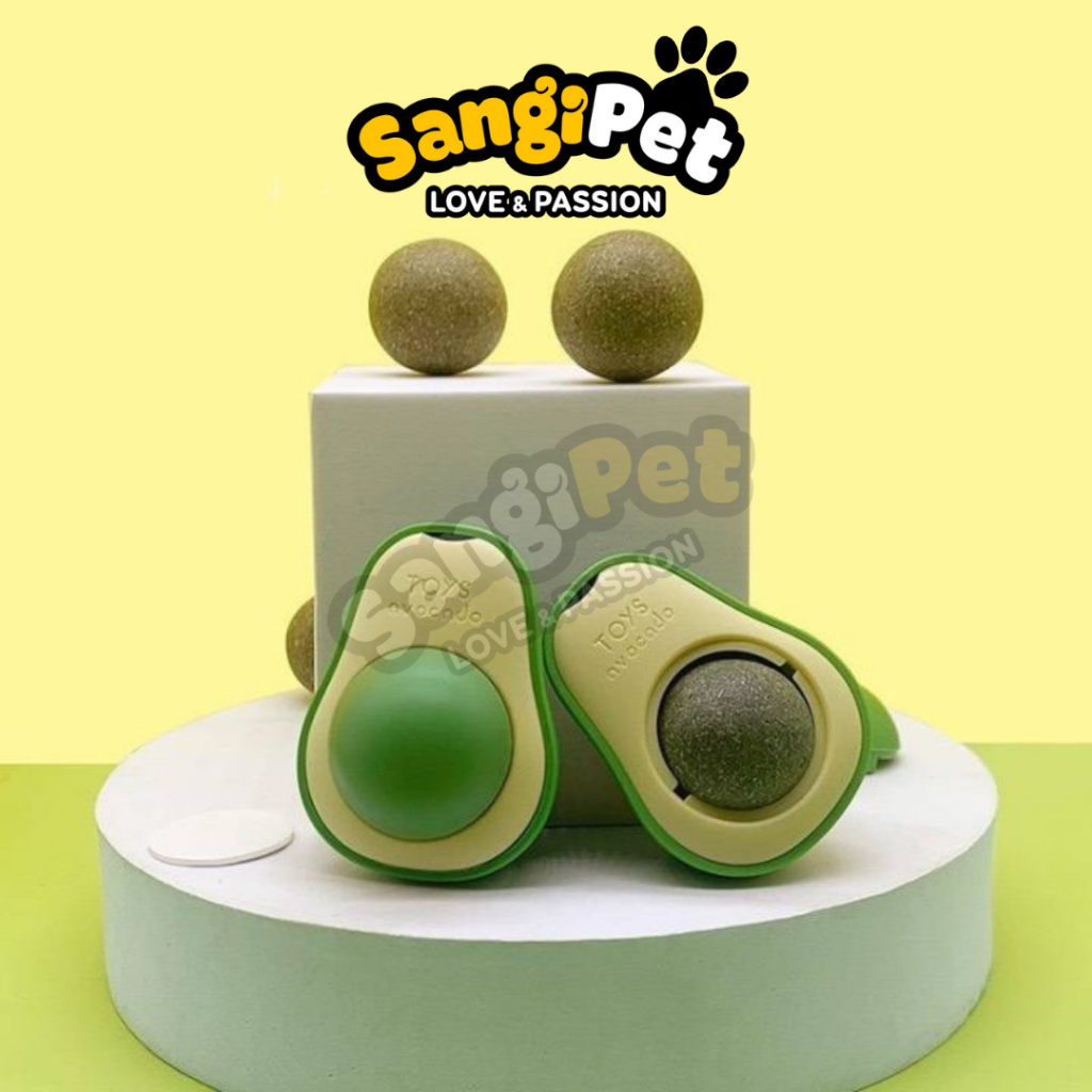 Catnip cho mèo, cỏ bạc hà hình trái bơ hỗ trợ tiêu hóa, tan búi lông