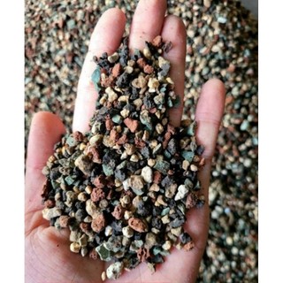 Đá cầu vồng trồng sen đá , xương rồng giúp giữ màu sen đá