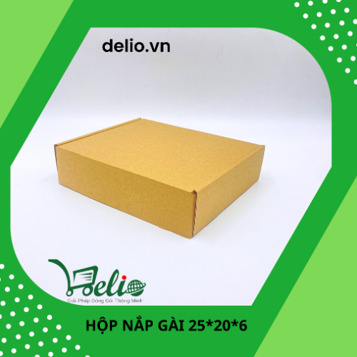 Hộp giấy carton nắp gài, gói hàng, gói quần áo, giá tốt, KT 25x20x6 - DELIO