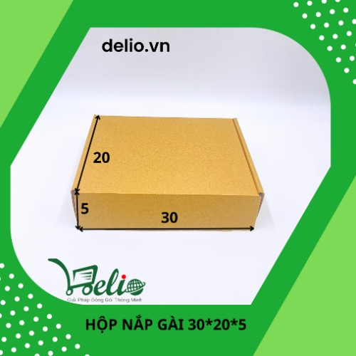 Hộp giấy carton nắp gài KT 30x20x5 đóng hàng, gói quần áo  - DELIO