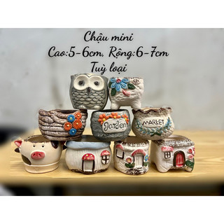 Chậu MiNi link2 (được chọn mẫu) trồng cây sen đá, xương rồng