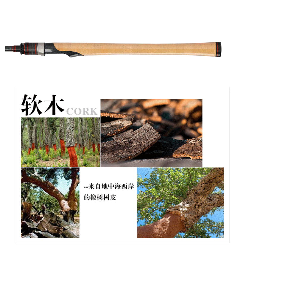 Cần câu máy đứng TSURINOYA ELITE III