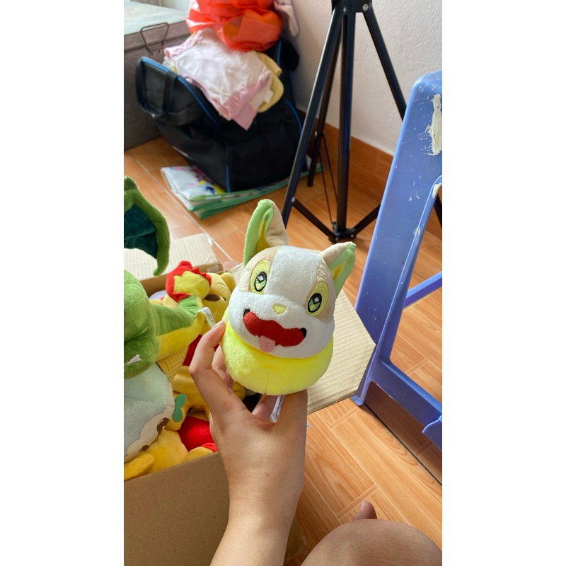 Gấu pokemon đủ size