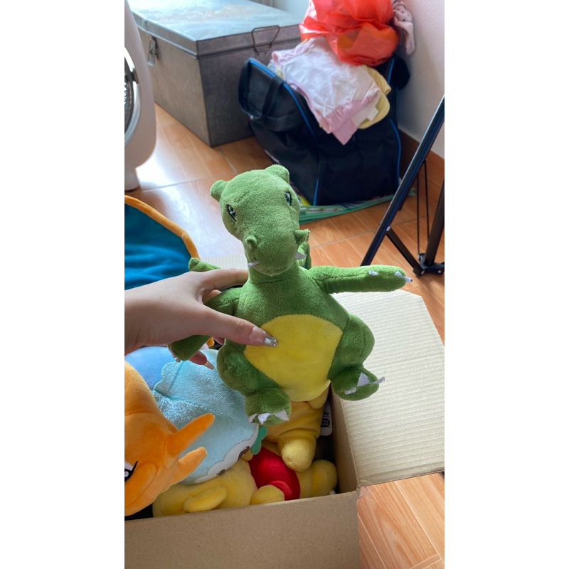 Gấu pokemon đủ size