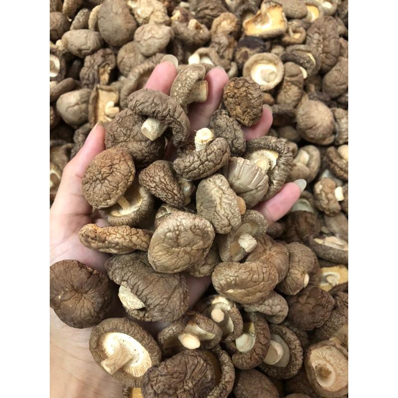 Nấm Đông Cô 4 phân