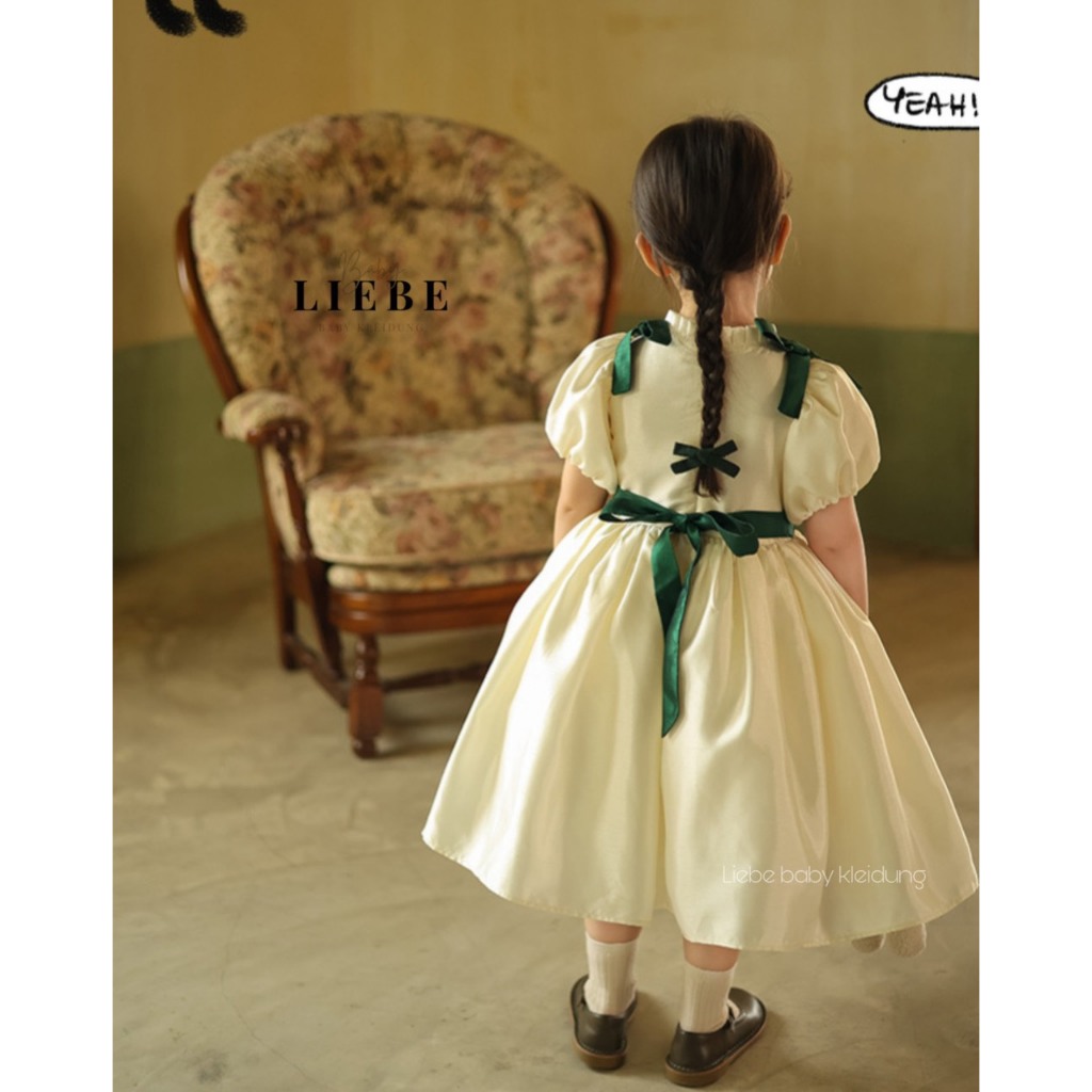 Váy Tiểu thư cho bé gái chất liệu lụa tafta thêu hoa xanh dễ thương size 10-38kg