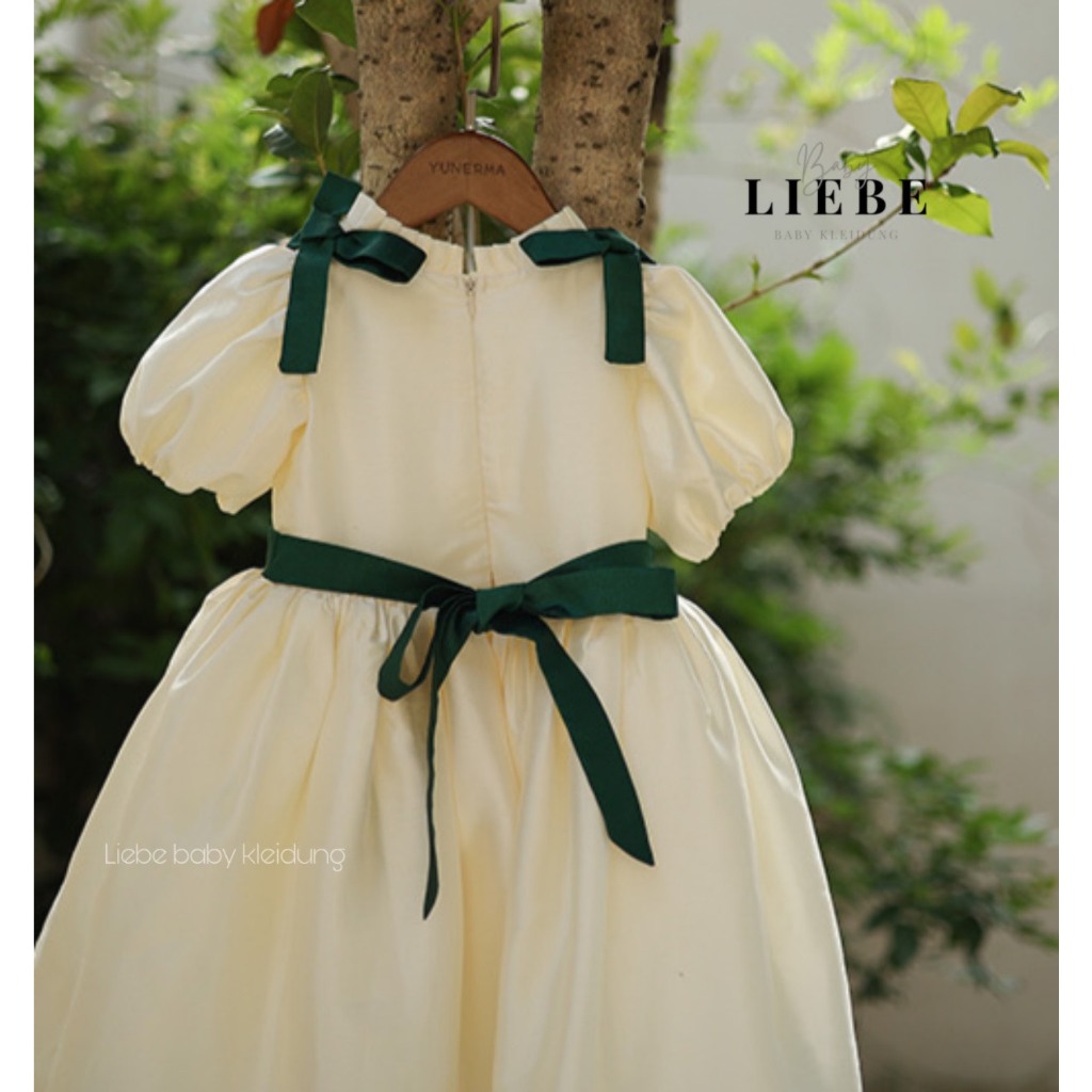 Váy Tiểu thư cho bé gái chất liệu lụa tafta thêu hoa xanh dễ thương size 10-38kg