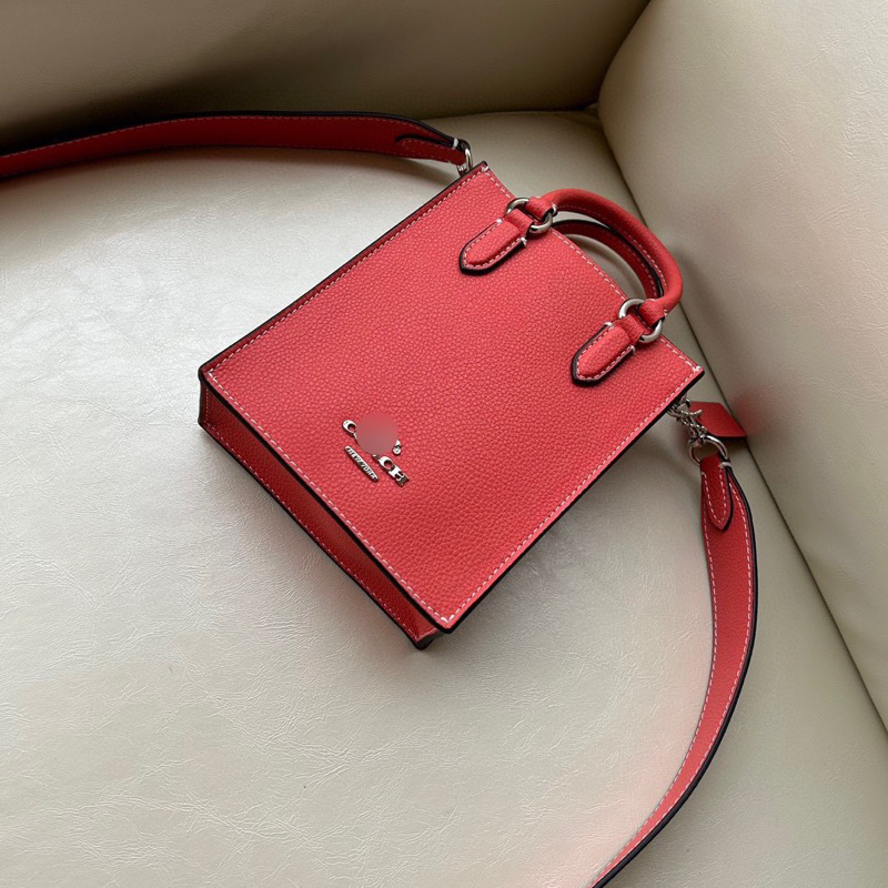 Túi coach north south mini