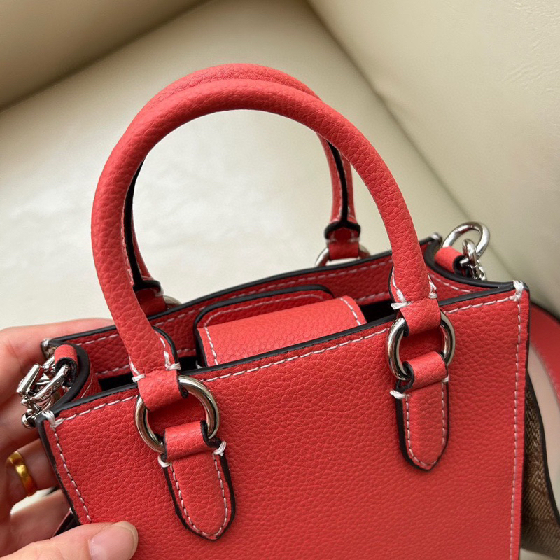 Túi coach north south mini