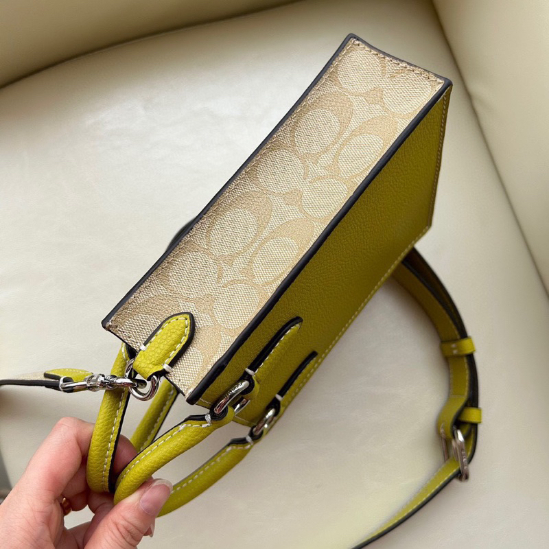 Túi coach north south mini