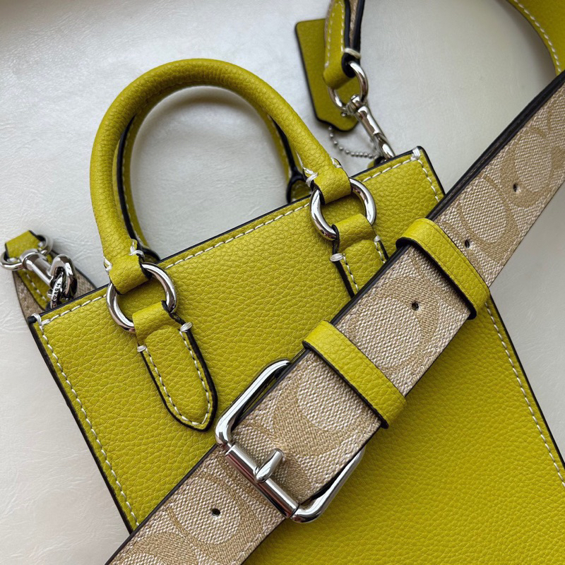 Túi coach north south mini