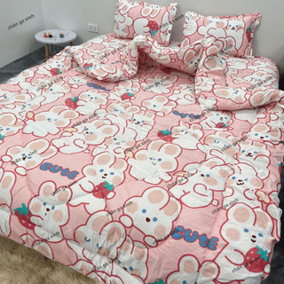 Chăn phao poly cotton có ruột bông dày loại 1 ( được chọn mẫu )