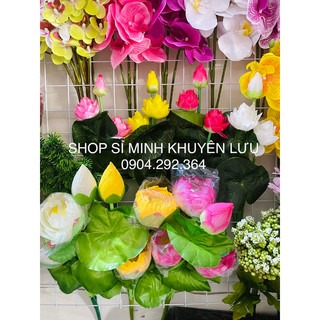 Hoa sen lụa đẹp giá rẻ Hoa sen nhí | sen quan âm trang trí | cụm sen trang trí oản nghệ thuật | Sỉ 1x tiểu học liên hệ