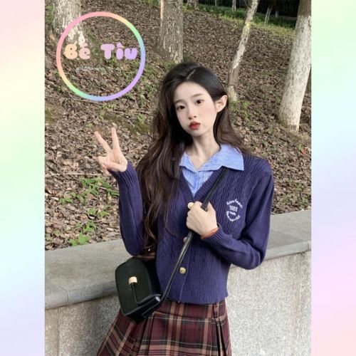 Áo Len giả Cặp Cổ Sơ Mi Học Sinh Có Logo Thừng Basic Xu Hướng Thời Hàn Quốc Hàng Qccc Trendy | Bé Tiu Clothing