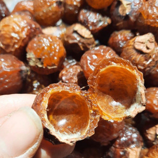 Bồ hòn tách hạt 1kg