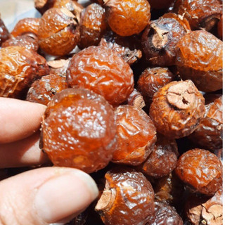 Bồ hòn tách hạt 1kg (loại nhiều mật)