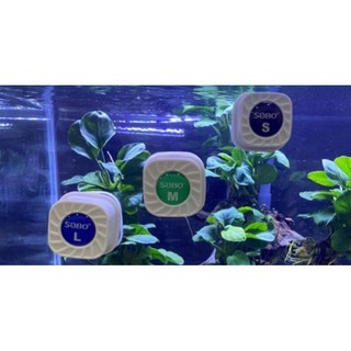 Chà hồ nam châm mini sobo cho hồ cá