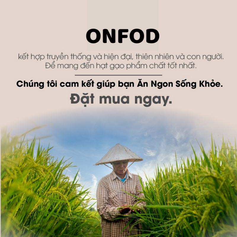 Gạo lứt huyết rồng đỏ hữu cơ ONFOD ăn kiêng giảm cân cho người tiểu đường ăn chay eat clean 500g 1kg