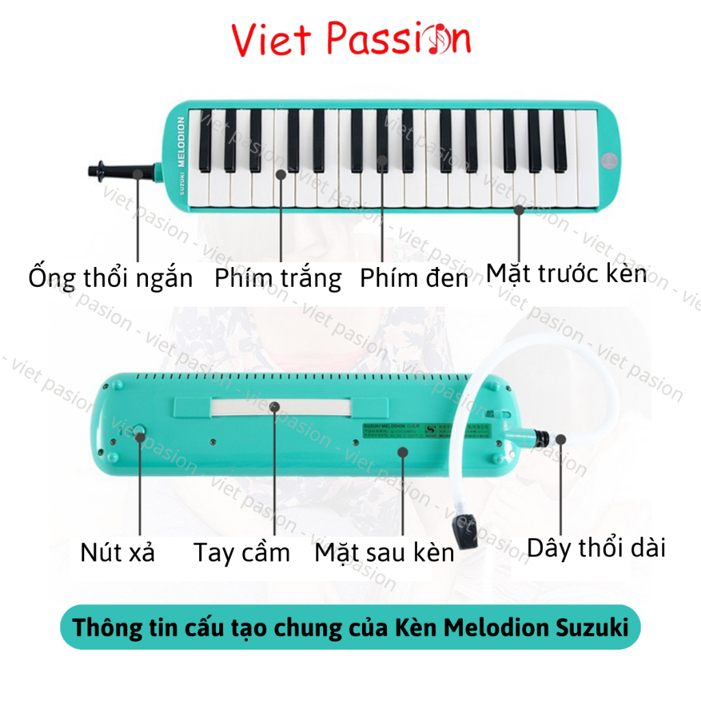 Kèn Phím Suzuki Melodion 32 phím Melodica 37 phím Pianica Hộp Nhựa Cứng Chính Hãng Viet Passion
