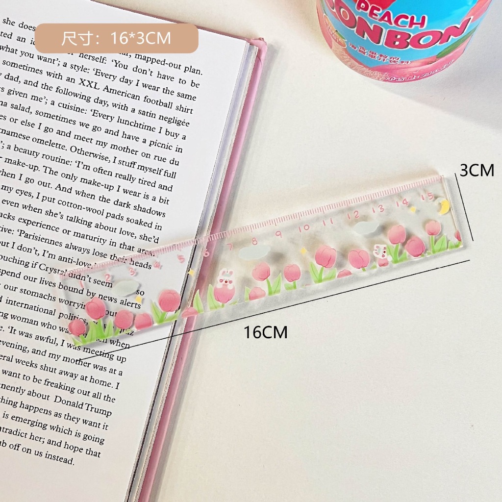 Thước kẻ trong suốt hình hoạt hình xinh xắn