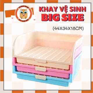 khay vệ sinh BIG SIZE cho gunea pig thỏ sóc bắc mỹ